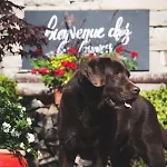 فندق La Ferme لا كلوساز